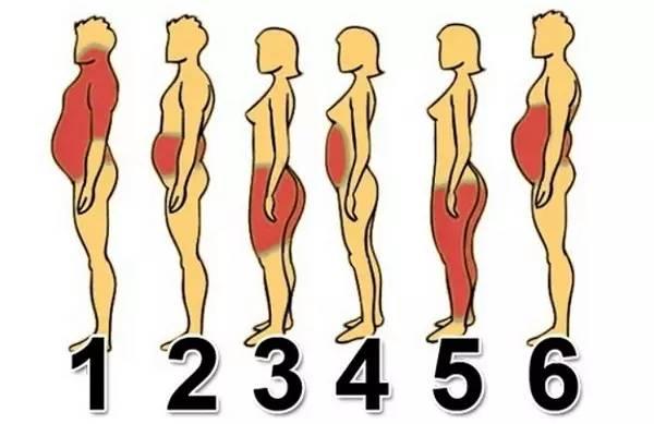 最快的减去赘肉的腹部?小君v赘肉博微图片
