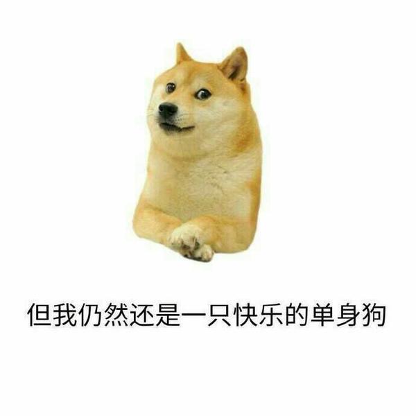 哈哈哈,但我仍然是一只快乐的单身狗