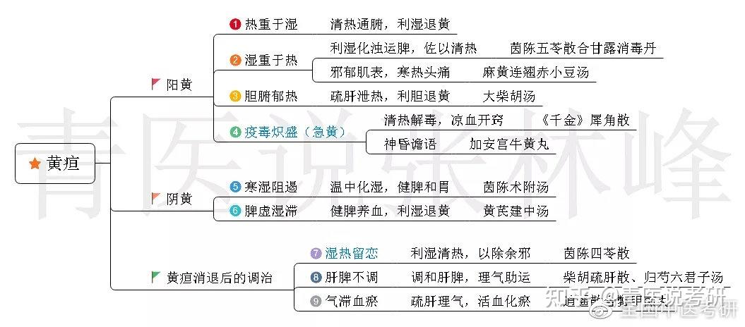 中医考研脱水干货中内55病证超全思维导图一篇用到考前