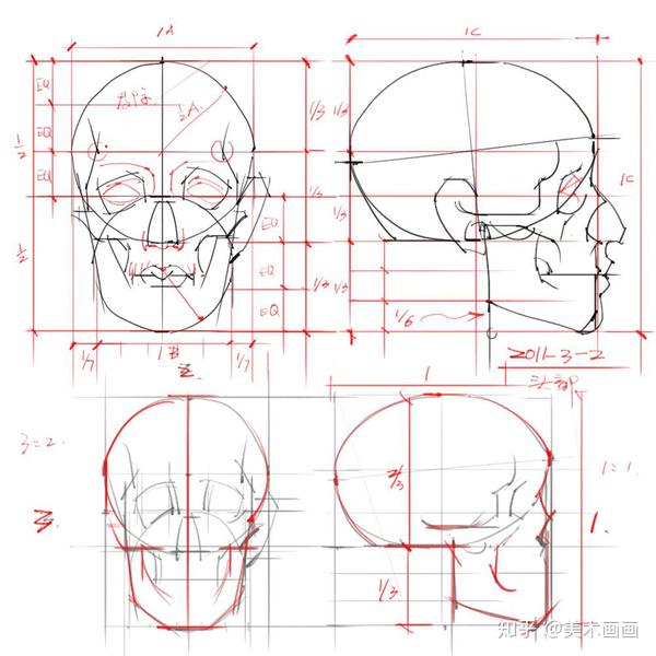 如何掌握素描头部结构比例?一文告诉你!