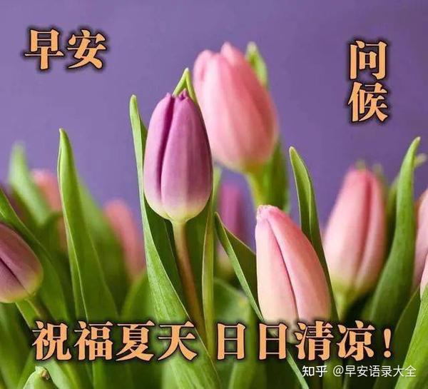 2021年5月23日星期天早上好问候语图片 周日最新早安问候祝福图片带字