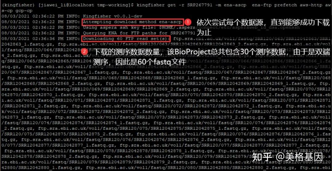 fastq.gz数据ena-ftp,调用curl从ena中下载.fastq.