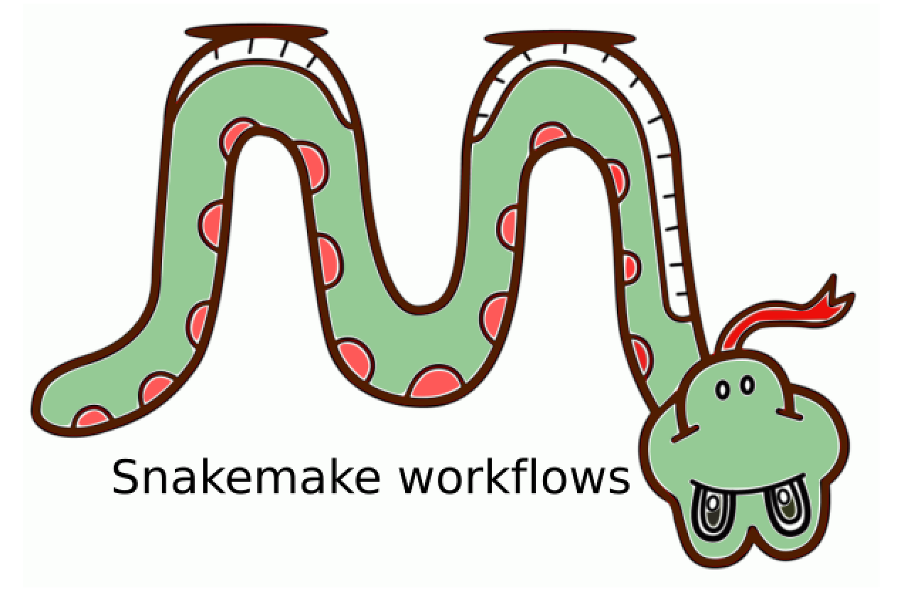 写snakemake遇到的坑