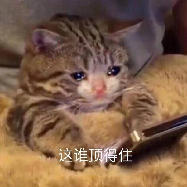2019 vs 你,别怕,「这谁顶得住」表情包为你撑腰!