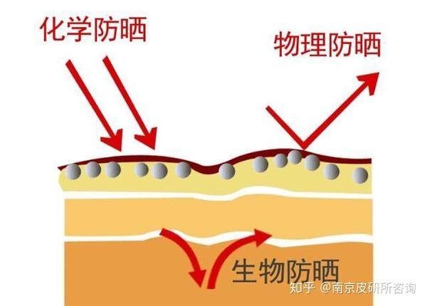 05 生物防晒 生物防晒是通过生物防晒剂使皮肤免受紫外线的伤害,具有