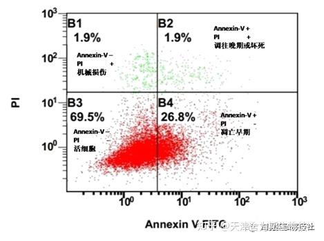 Annexin V Pi