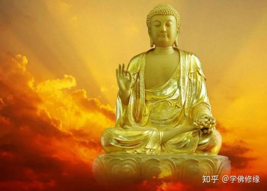 佛说,众生皆苦,唯有自渡