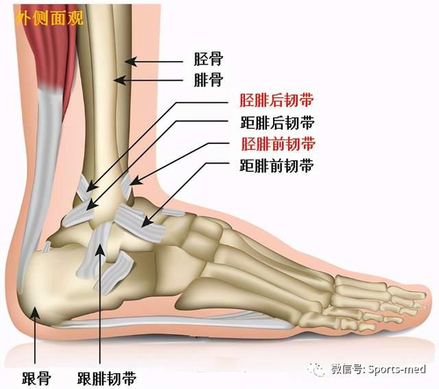 什么是踝关节撞击综合征