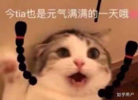能让我无聊的生活多点乐趣吧.