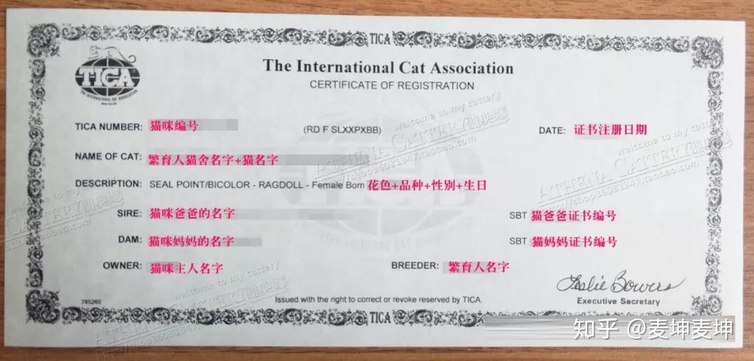 你可能听过第一代,第二代…相信大家都对tica证书上关于品种猫血统