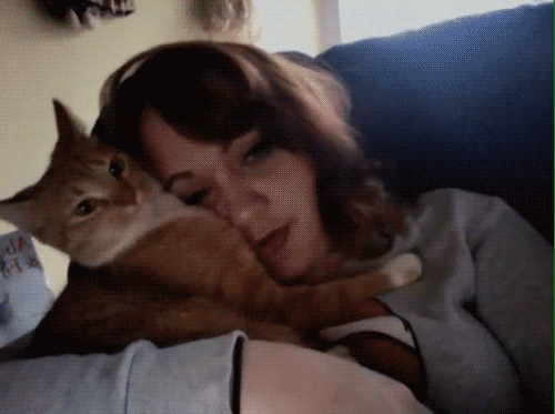 都绝不可能完全达到那个 