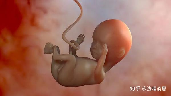 胎儿在90天左右大脑开始发育,这个时候需要妈妈给宝宝提供充足的氧气