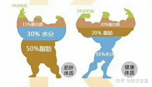 减肥和减脂有实质性区别?男生快速瘦肚子图片