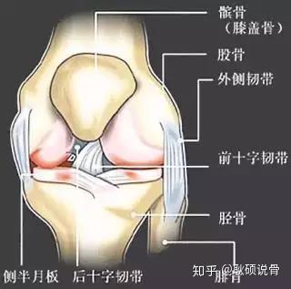 年轻人的膝盖痛:髌骨软化症,不是"软了"那么简单!