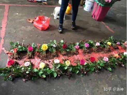 各个品种的玫瑰花苗,老板说一元钱一枝,上面摆的花是花苗开花后的样子