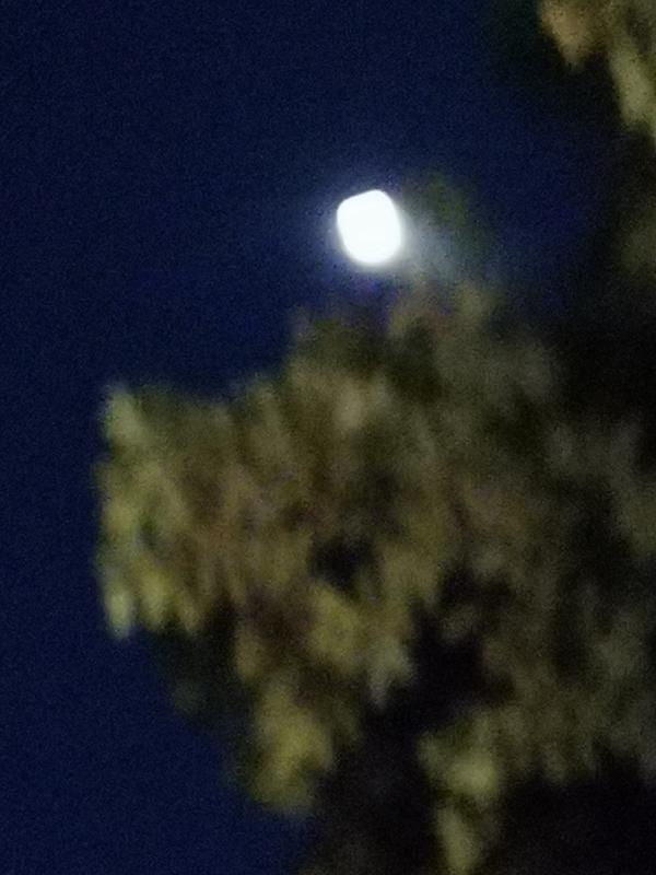 天上悬着半边月亮