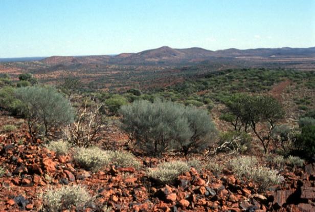 澳大利亚西部的jack hills的一块变质石英砾岩中,他们发现了一颗锆石
