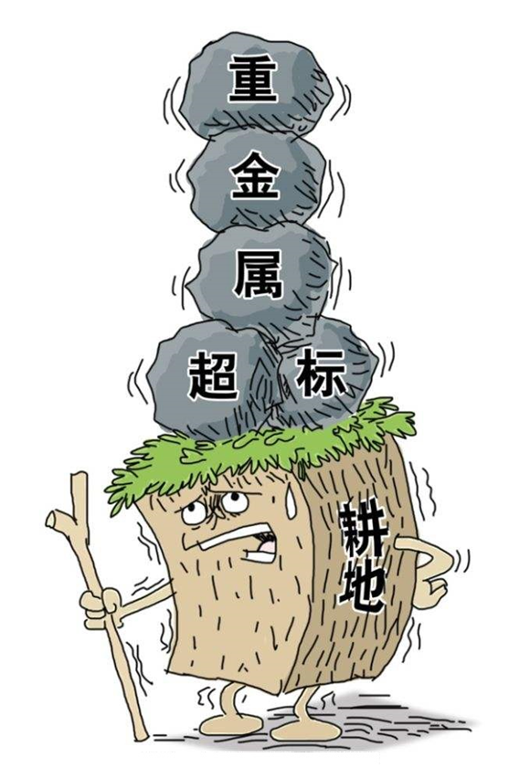 技术农田重金属污染修复技术