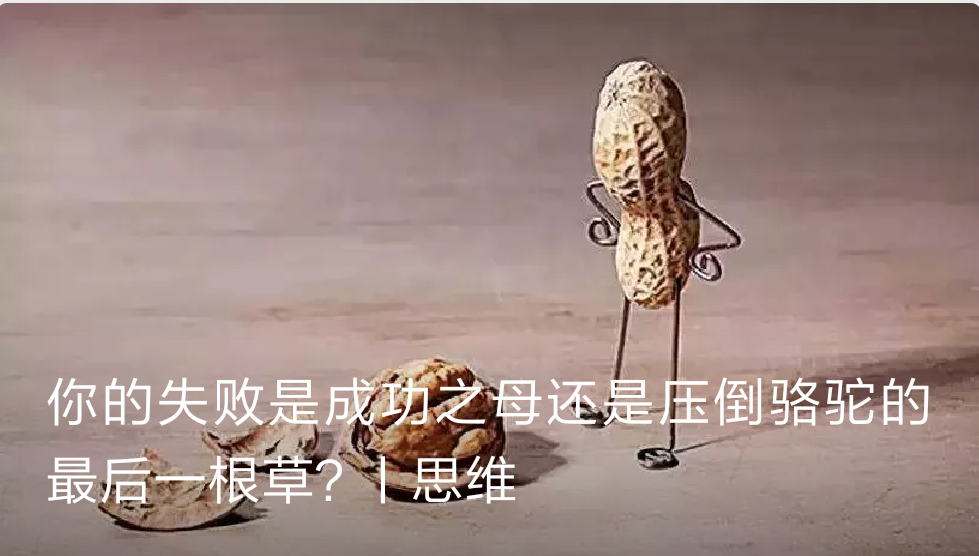 你的失败是成功之母还是压倒骆驼的最后一根草?丨思维