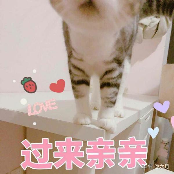 有什么适用于和老公/男票撒娇的可爱表情包?