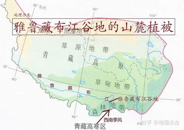 为什么雅鲁藏布江谷地的山麓植被,与同纬度地区有较大