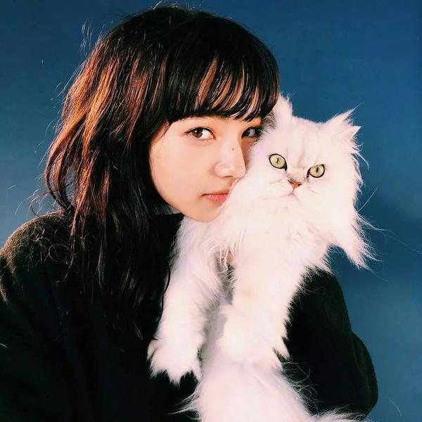 厌世颜中除了琉花那样清冷型的,还有小松菜奈这种猫系厌世颜也是深得