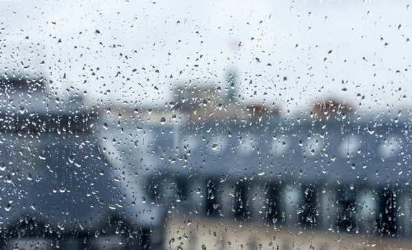雨水频繁来袭,芸学教育提醒您潮湿闷热天气要注意未病