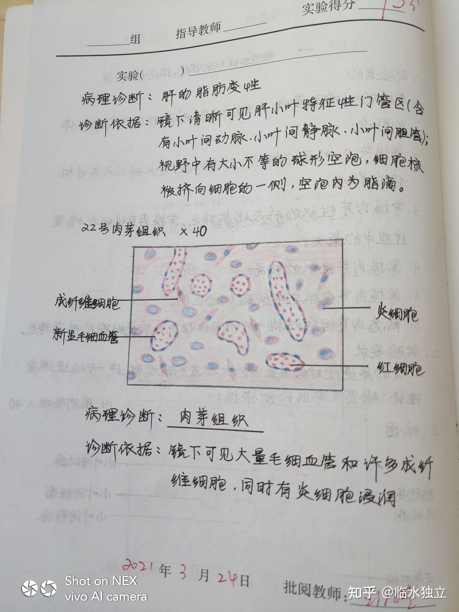 为什么咱们不弄个病理红蓝手绘图的问题呢?