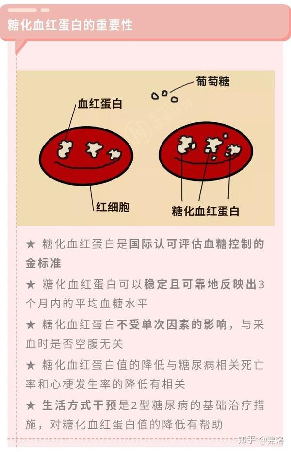 糖化血红蛋白vs单次血糖,到底哪个才是血糖监测的金标准?