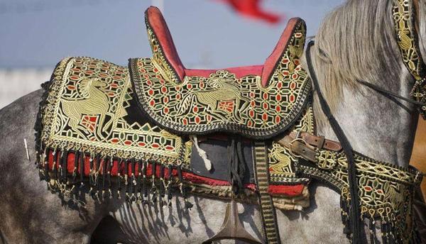 蒙品1选带你看蒙古族马背文化——雕花的马鞍!