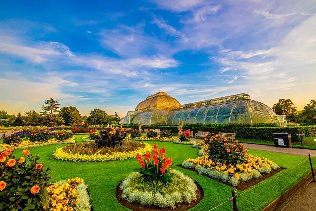 探访英国植物界的大英博物馆皇家园林kewgarden