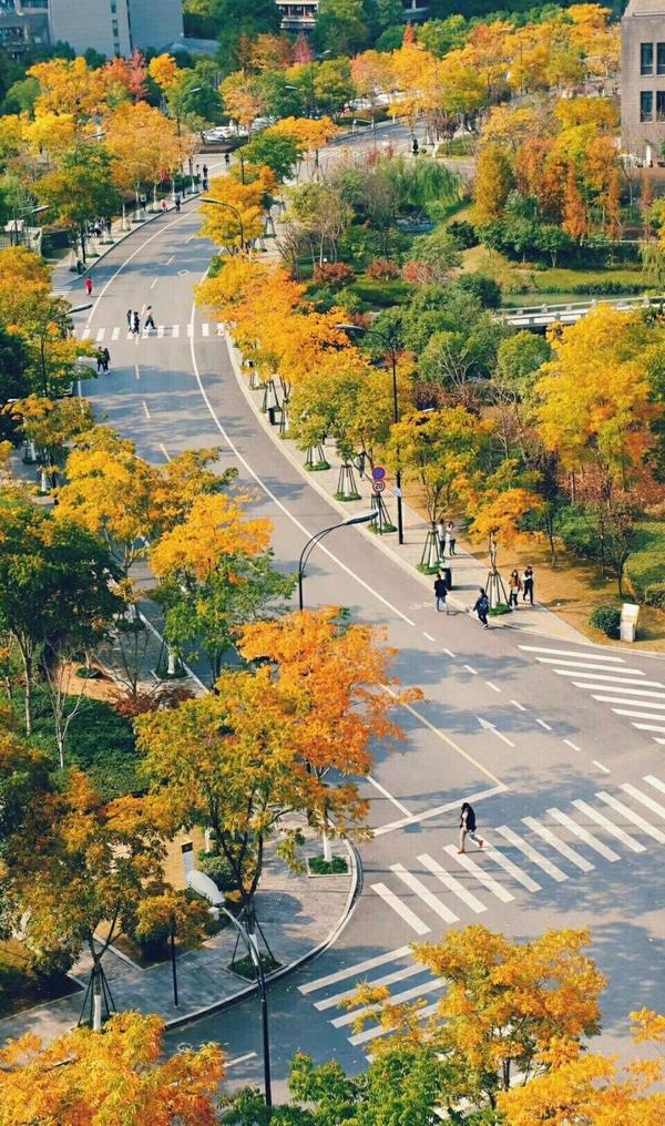 在杭州师范大学(hangzhou normal university)就读是怎样一番体验?