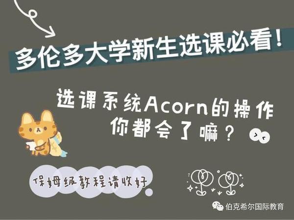 google搜索acorn uoft,第一个就是,登录账号和密码是大家在申请的时候