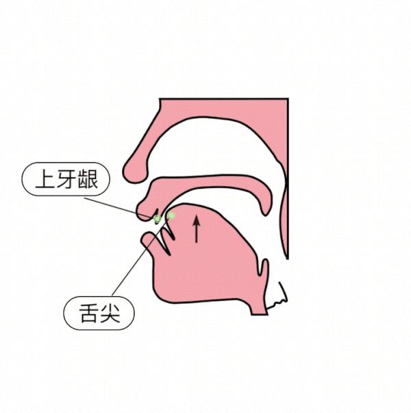 对外汉语教学之拼音中前鼻音和后鼻音的发音技巧