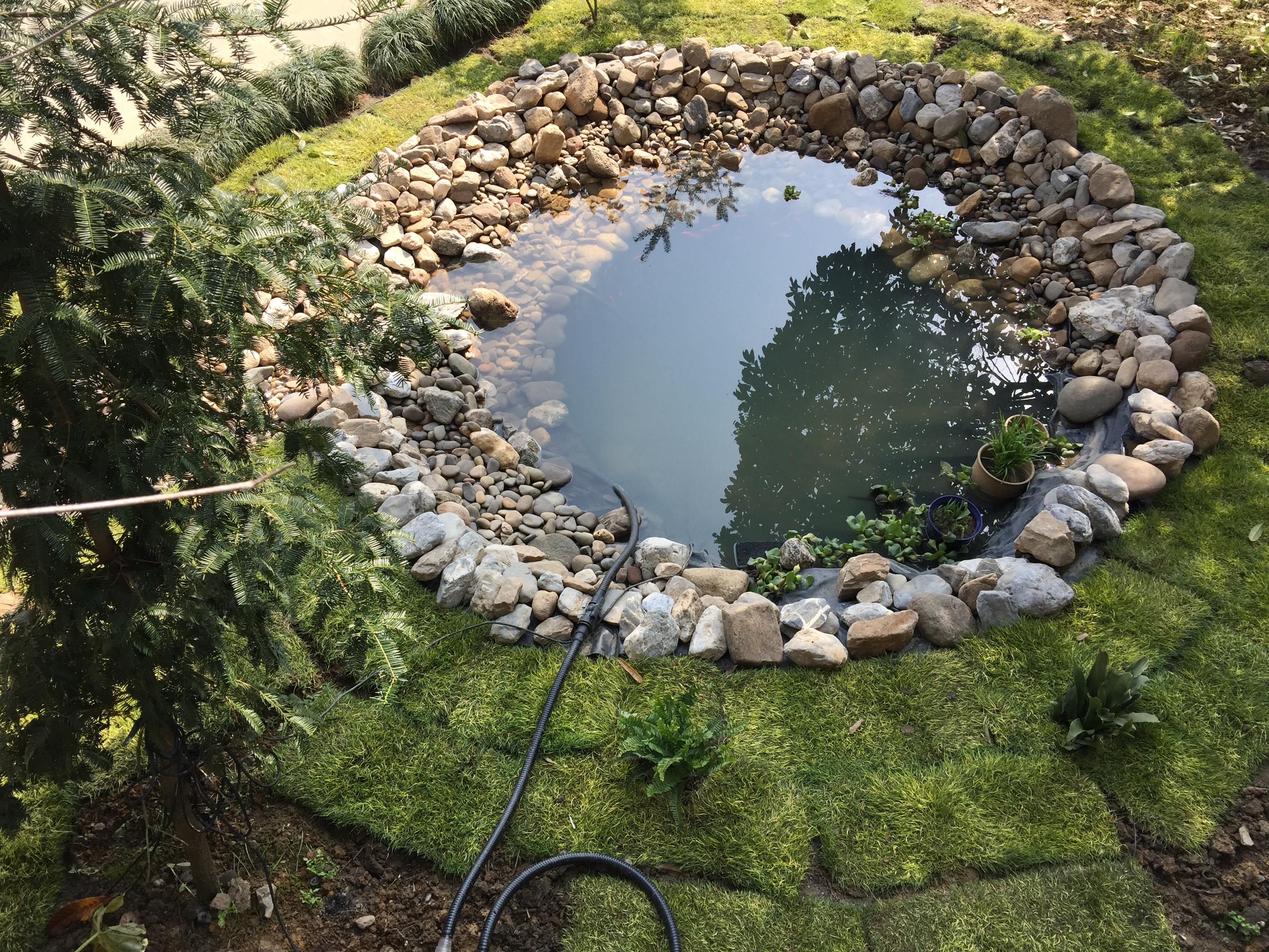 我在家门口建了个池塘