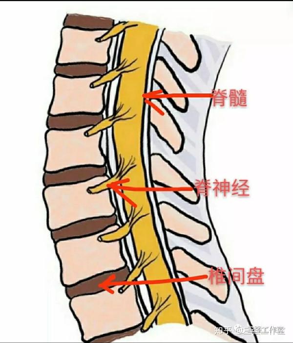 聊聊颈椎那些事儿