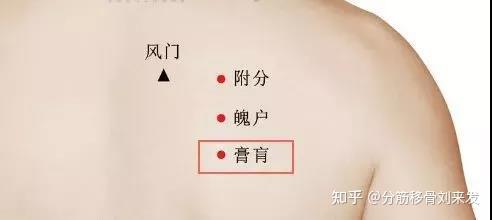 冷知识:我们都知道"病入膏肓",可谁知道"膏肓"是个穴位?