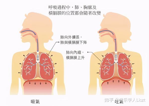 气入丹田按弹奏的音吹口哨,并有节制的让气流均匀呼出.