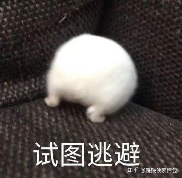 可爱表情包图片:抱住大腿,你就答应我嘛