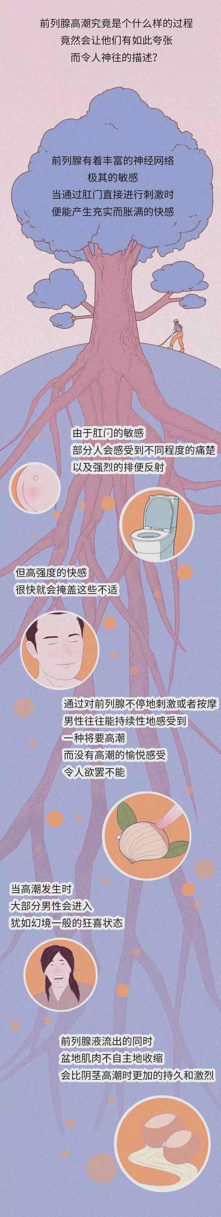 正经科普关于前列腺糕潮你知道多少