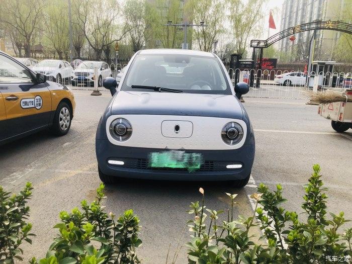 发帖赢豪礼终于摆脱限号新提莫兰迪色欧拉黑猫