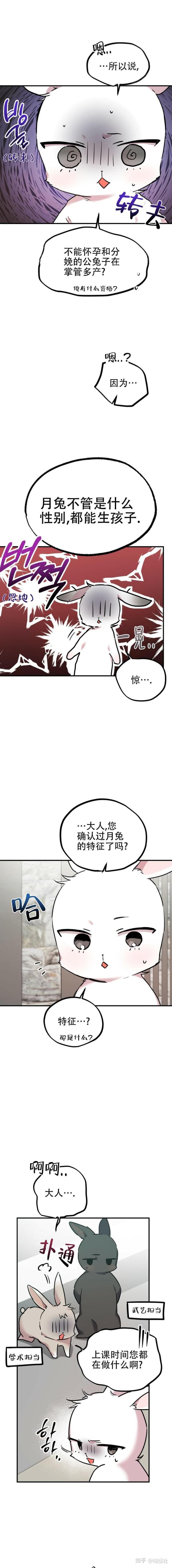 漫画《夏菲菲的兔子《爱情调味品》