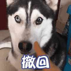 调侃撤回消息的表情包一定是撤回了见不得人的东西