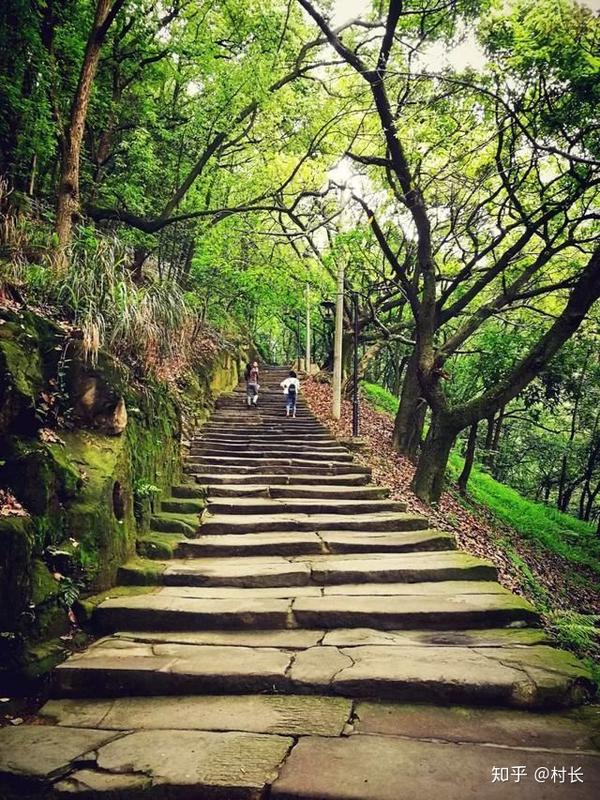 『1』黄葛古道,初夏最好,蝉噪林逾静,鸟鸣山更幽.