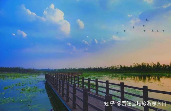 潘安湖湿地公园 门市价:40元