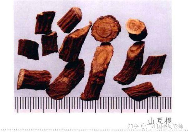 广州中药材鉴别之山豆根鉴别检测
