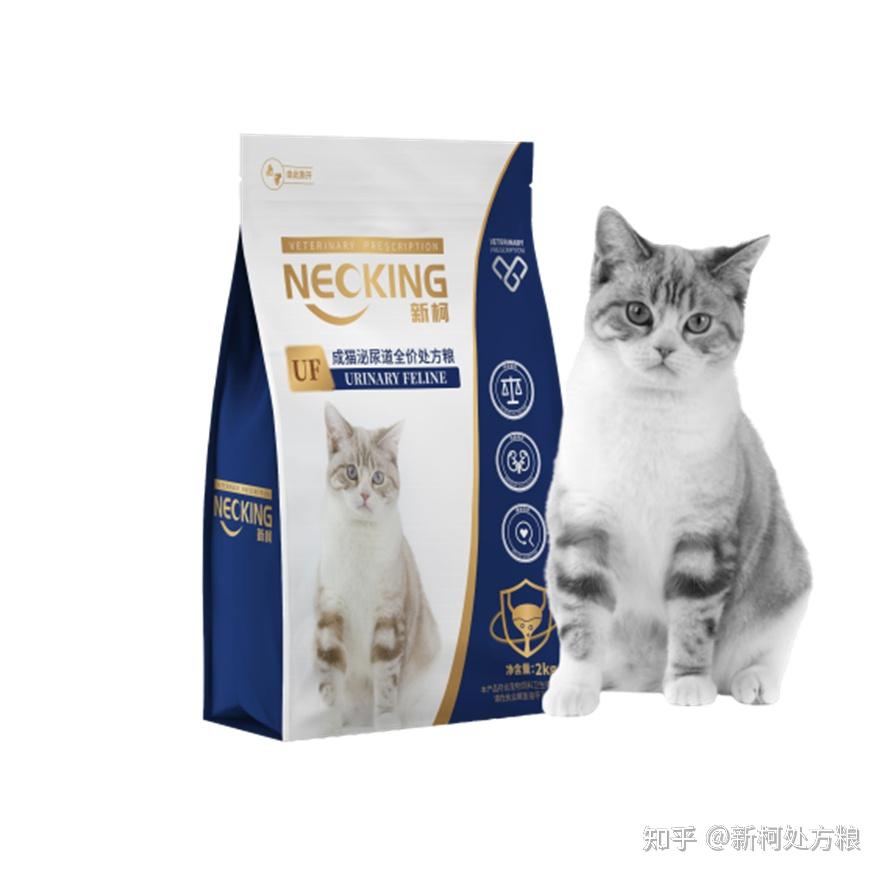 猫下泌尿道综合征 知乎