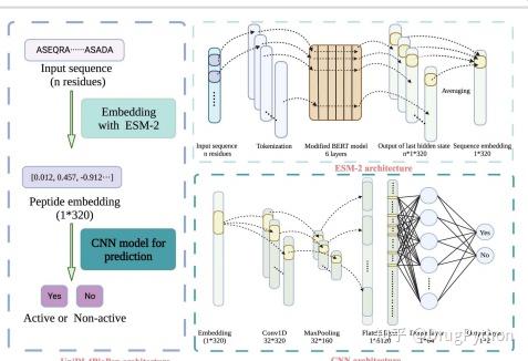 学术速运 UniDL4BioPep一种用于肽生物活性二元分类的通用深度学习架构 知乎