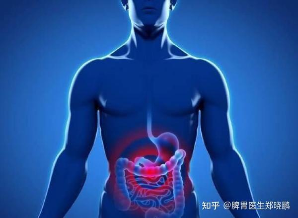 此外,发热,寒颤和肌肉痛也是急性肠胃炎的常见症状.