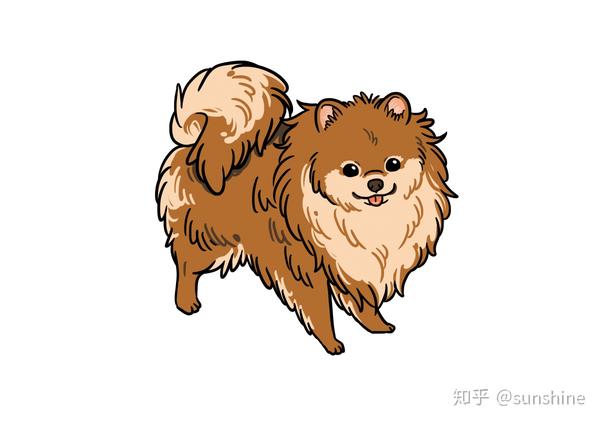 博美犬卡通